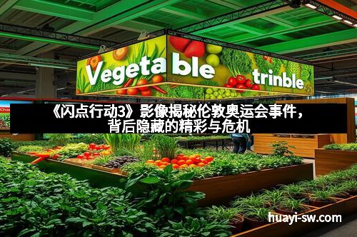 《闪点行动3》影像揭秘伦敦奥运会事件,背后隐藏的精彩与危机